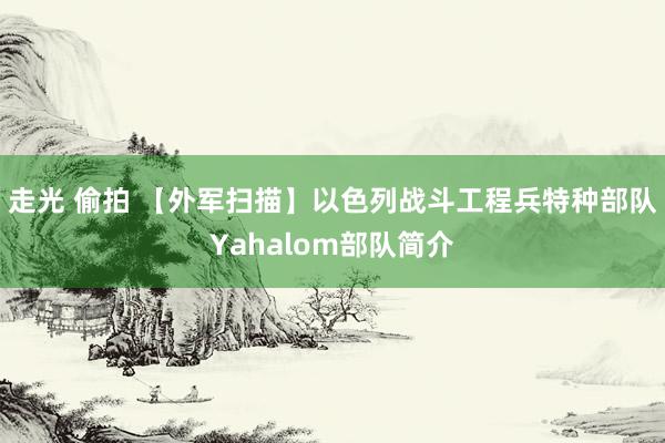 走光 偷拍 【外军扫描】以色列战斗工程兵特种部队Yahalom部队简介
