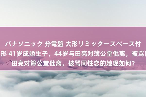 パナソニック 分電盤 大形リミッタースペース付 露出・半埋込両用形 41岁成婚生子，44岁与田亮对簿公堂仳离，被骂同性恋的她现如何？