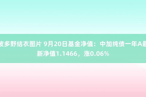 波多野结衣图片 9月20日基金净值：中加纯债一年A最新净值1.1466，涨0.06%