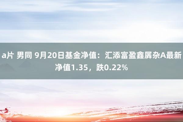 a片 男同 9月20日基金净值：汇添富盈鑫羼杂A最新净值1.35，跌0.22%