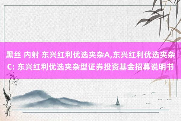 黑丝 内射 东兴红利优选夹杂A,东兴红利优选夹杂C: 东兴红利优选夹杂型证券投资基金招募说明书