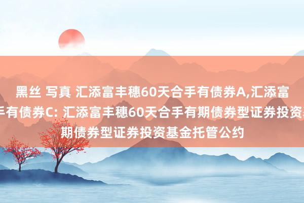 黑丝 写真 汇添富丰穗60天合手有债券A,汇添富丰穗60天合手有债券C: 汇添富丰穗60天合手有期债券型证券投资基金托管公约