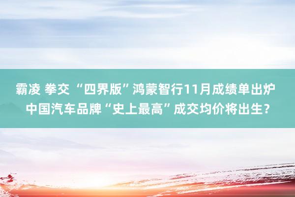 霸凌 拳交 “四界版”鸿蒙智行11月成绩单出炉 中国汽车品牌“史上最高”成交均价将出生？