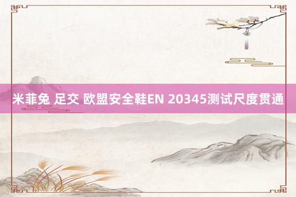 米菲兔 足交 欧盟安全鞋EN 20345测试尺度贯通