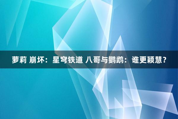 萝莉 崩坏：星穹铁道 八哥与鹦鹉：谁更颖慧？