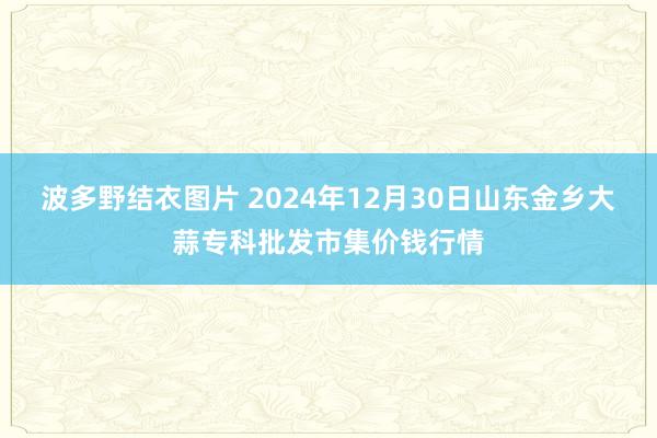 波多野结衣图片 2024年12月30日山东金乡大蒜专科批发市集价钱行情