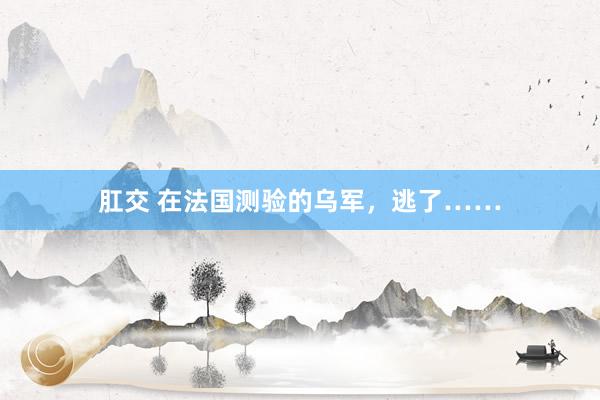 肛交 在法国测验的乌军，逃了……