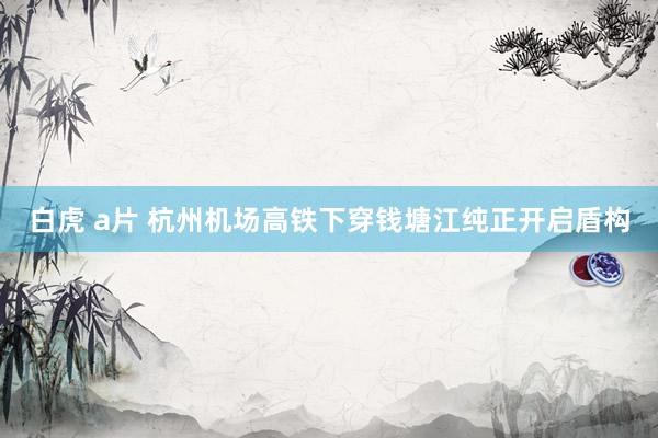 白虎 a片 杭州机场高铁下穿钱塘江纯正开启盾构