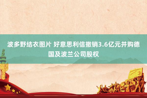 波多野结衣图片 好意思利信撤销3.6亿元并购德国及波兰公司股权