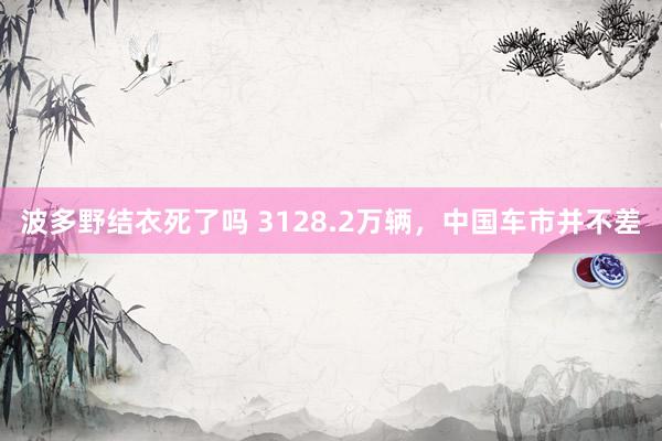 波多野结衣死了吗 3128.2万辆，中国车市并不差