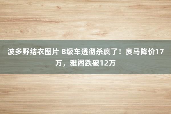 波多野结衣图片 B级车透彻杀疯了！良马降价17万，雅阁跌破12万