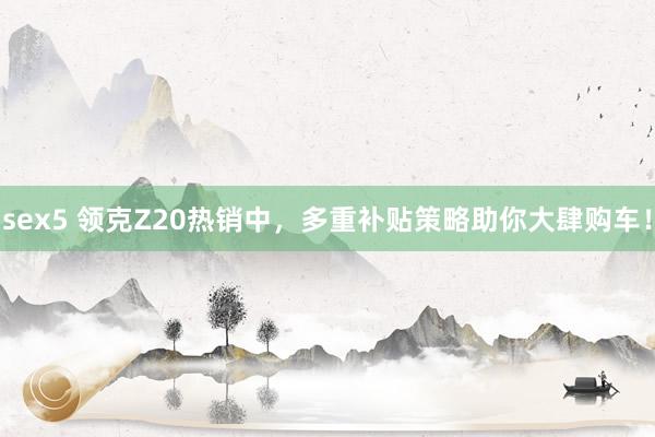 sex5 领克Z20热销中，多重补贴策略助你大肆购车！