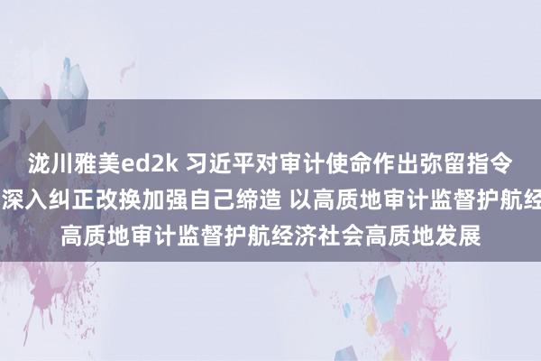 泷川雅美ed2k 习近平对审计使命作出弥留指令强调 聚焦主责主业深入纠正改换加强自己缔造 以高质地审计监督护航经济社会高质地发展