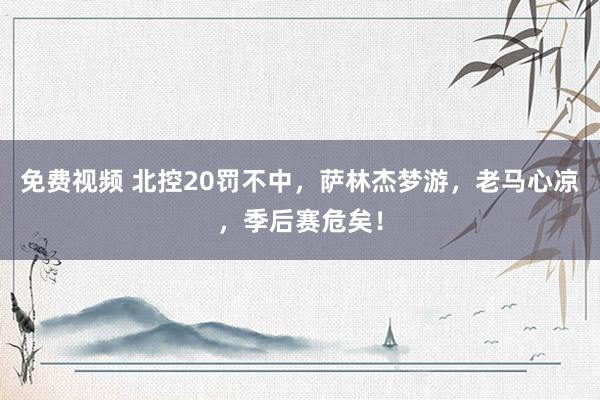免费视频 北控20罚不中，萨林杰梦游，老马心凉，季后赛危矣！