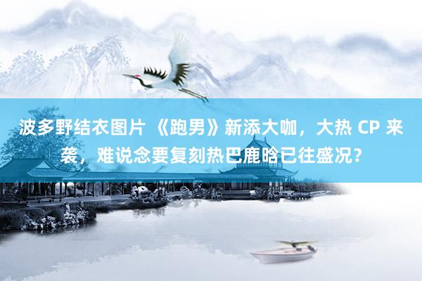 波多野结衣图片 《跑男》新添大咖，大热 CP 来袭，难说念要复刻热巴鹿晗已往盛况？