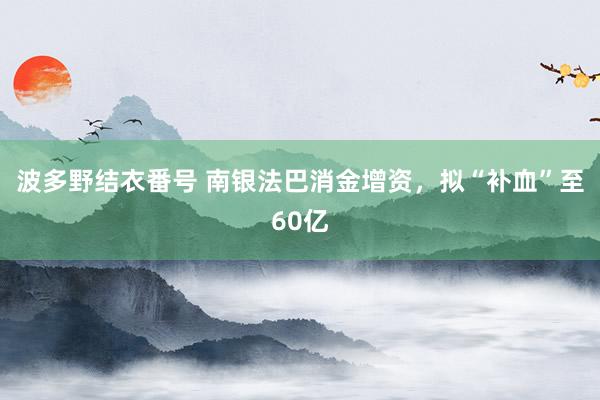 波多野结衣番号 南银法巴消金增资，拟“补血”至60亿