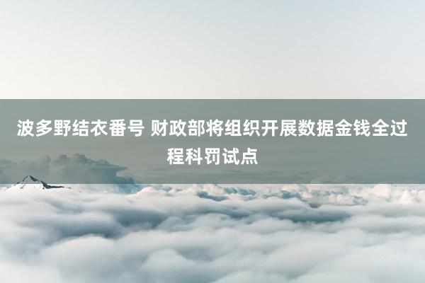 波多野结衣番号 财政部将组织开展数据金钱全过程科罚试点