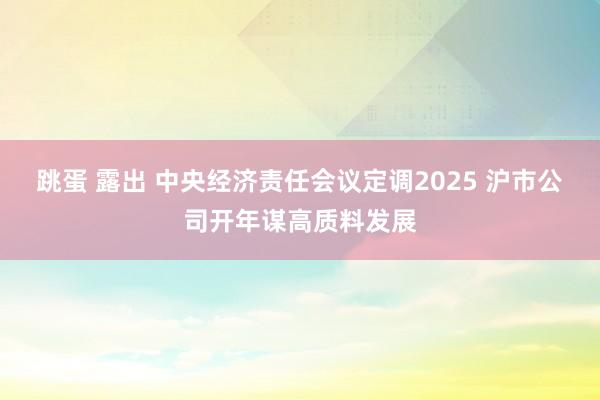 跳蛋 露出 中央经济责任会议定调2025 沪市公司开年谋高质料发展