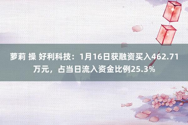 萝莉 操 好利科技：1月16日获融资买入462.71万元，占当日流入资金比例25.3%