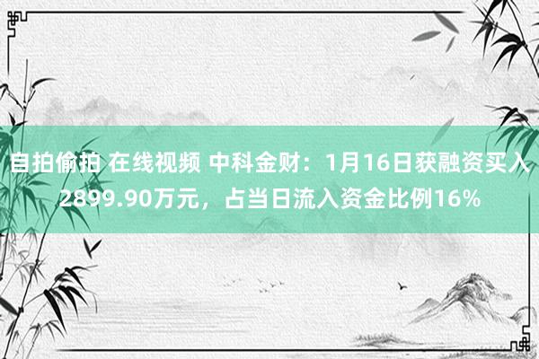 自拍偷拍 在线视频 中科金财：1月16日获融资买入2899.90万元，占当日流入资金比例16%