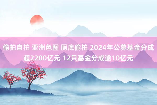 偷拍自拍 亚洲色图 厕底偷拍 2024年公募基金分成超2200亿元 12只基金分成逾10亿元