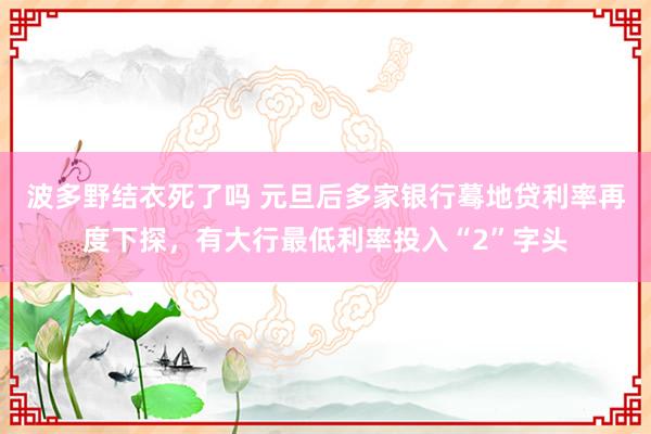 波多野结衣死了吗 元旦后多家银行蓦地贷利率再度下探，有大行最低利率投入“2”字头