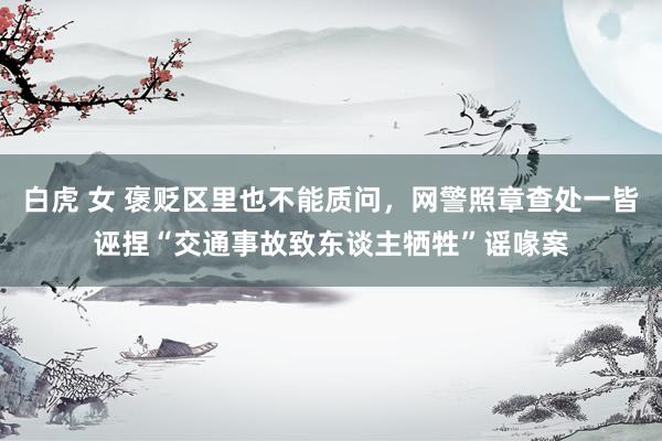 白虎 女 褒贬区里也不能质问，网警照章查处一皆诬捏“交通事故致东谈主牺牲”谣喙案