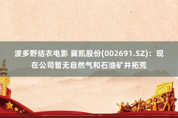 波多野结衣电影 冀凯股份(002691.SZ)：现在公司暂无自然气和石油矿井拓荒