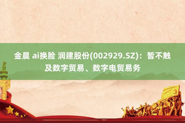 金晨 ai换脸 润建股份(002929.SZ)：暂不触及数字贸易、数字电贸易务