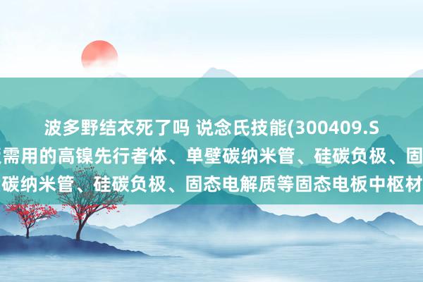 波多野结衣死了吗 说念氏技能(300409.SZ)：已全面布局固态电板需用的高镍先行者体、单壁碳纳米管、硅碳负极、固态电解质等固态电板中枢材料