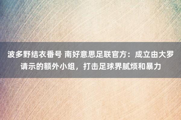 波多野结衣番号 南好意思足联官方：成立由大罗请示的额外小组，打击足球界腻烦和暴力