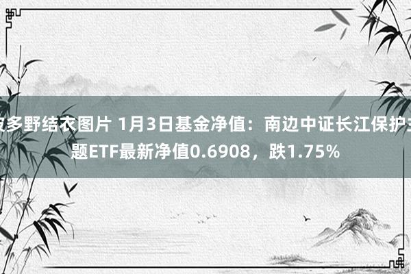 波多野结衣图片 1月3日基金净值：南边中证长江保护主题ETF最新净值0.6908，跌1.75%
