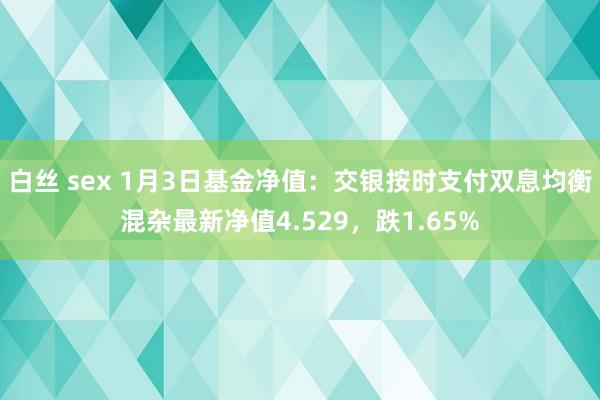 白丝 sex 1月3日基金净值：交银按时支付双息均衡混杂最新净值4.529，跌1.65%