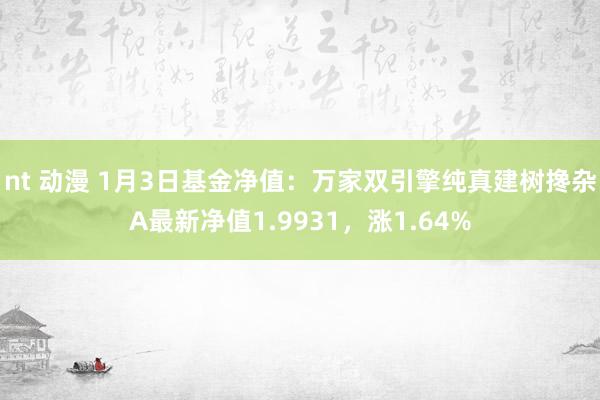 nt 动漫 1月3日基金净值：万家双引擎纯真建树搀杂A最新净值1.9931，涨1.64%