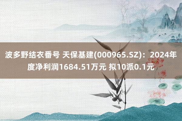 波多野结衣番号 天保基建(000965.SZ)：2024年度净利润1684.51万元 拟10派0.1元