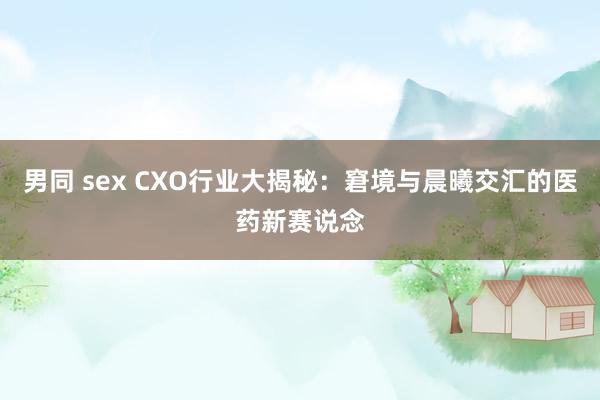 男同 sex CXO行业大揭秘：窘境与晨曦交汇的医药新赛说念
