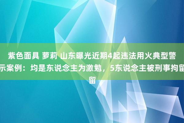 紫色面具 萝莉 山东曝光近期4起违法用火典型警示案例：均是东说念主为激勉，5东说念主被刑事拘留