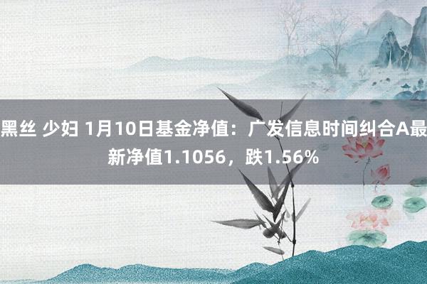 黑丝 少妇 1月10日基金净值：广发信息时间纠合A最新净值1.1056，跌1.56%