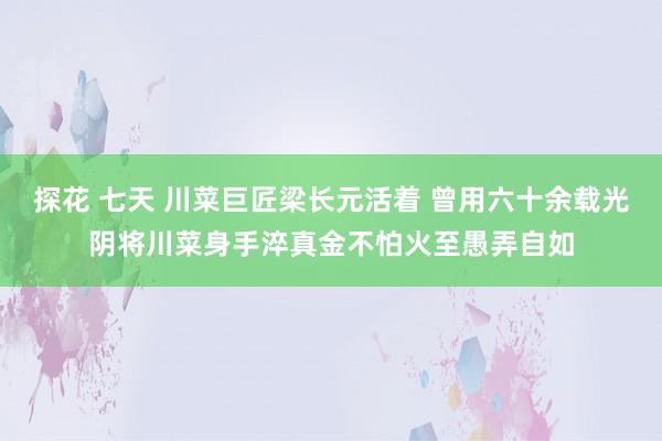 探花 七天 川菜巨匠梁长元活着 曾用六十余载光阴将川菜身手淬真金不怕火至愚弄自如