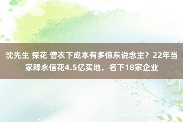 沈先生 探花 僧衣下成本有多惊东说念主？22年当家释永信花4.5亿买地，名下18家企业