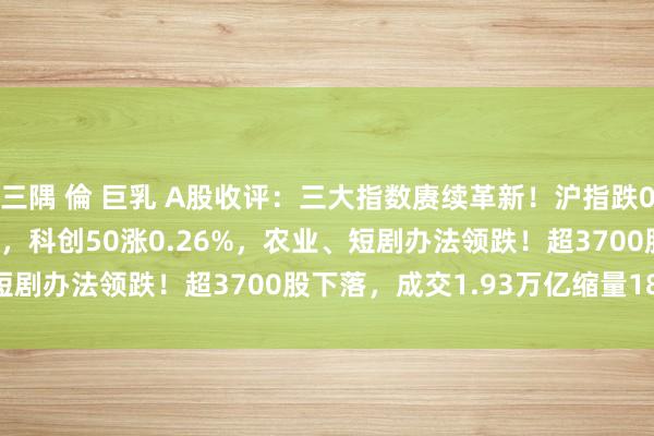 三隅 倫 巨乳 A股收评：三大指数赓续革新！沪指跌0.8%创业板指跌1.13%，科创50涨0.26%，农业、短剧办法领跌！超3700股下落，成交1.93万亿缩量1899亿