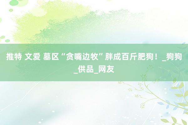 推特 文爱 墓区“贪嘴边牧”胖成百斤肥狗！_狗狗_供品_网友