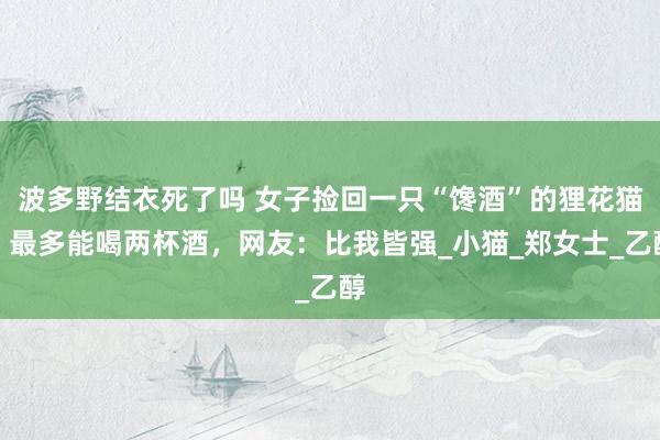 波多野结衣死了吗 女子捡回一只“馋酒”的狸花猫，最多能喝两杯酒，网友：比我皆强_小猫_郑女士_乙醇