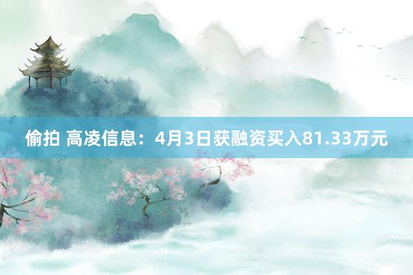 偷拍 高凌信息：4月3日获融资买入81.33万元
