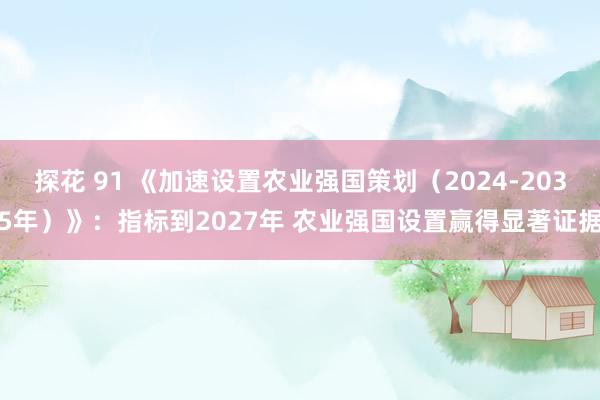 探花 91 《加速设置农业强国策划（2024-2035年）》：指标到2027年 农业强国设置赢得显著证据