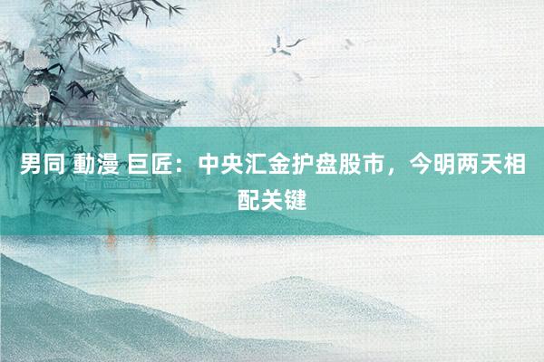 男同 動漫 巨匠：中央汇金护盘股市，今明两天相配关键
