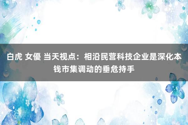 白虎 女優 当天视点：相沿民营科技企业是深化本钱市集调动的垂危持手