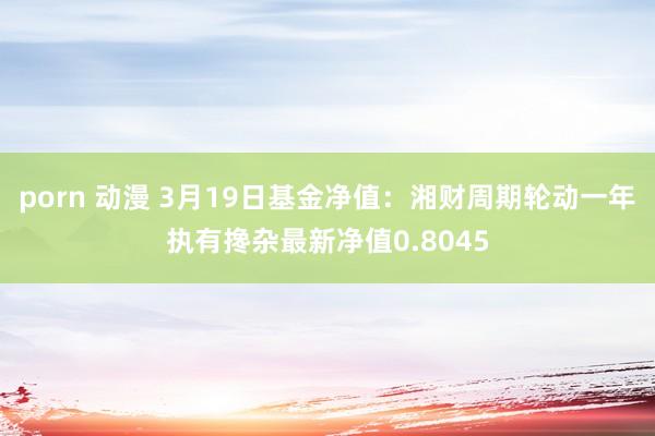 porn 动漫 3月19日基金净值：湘财周期轮动一年执有搀杂最新净值0.8045