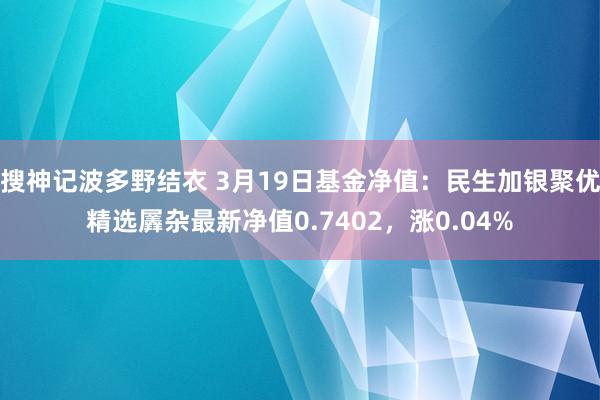 搜神记波多野结衣 3月19日基金净值：民生加银聚优精选羼杂最新净值0.7402，涨0.04%