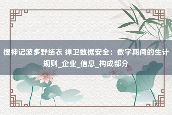 搜神记波多野结衣 捍卫数据安全：数字期间的生计规则_企业_信息_构成部分